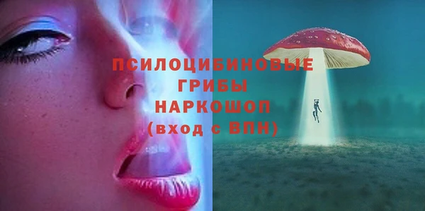 ГАЛЛЮЦИНОГЕННЫЕ ГРИБЫ Лихославль