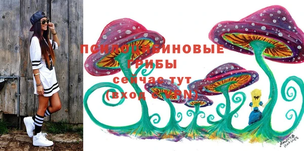спиды Алексеевка