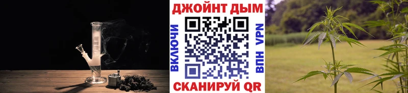 Бошки Шишки гибрид  Уяр 